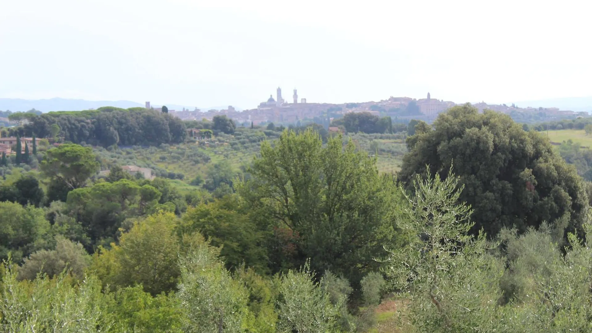 Villa Mami, Siena, Intera Villa A Uso Esclusivo Con Piscina Privata Italia